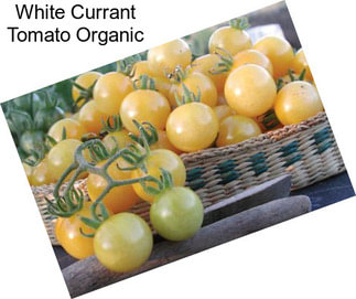 White Currant Tomato Organic