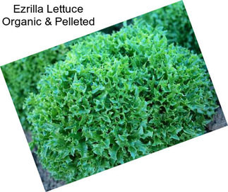 Ezrilla Lettuce Organic & Pelleted