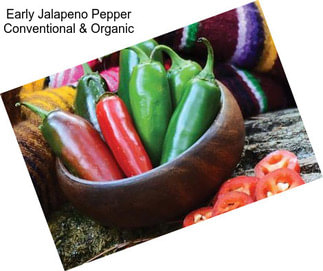 Early Jalapeno Pepper Conventional & Organic