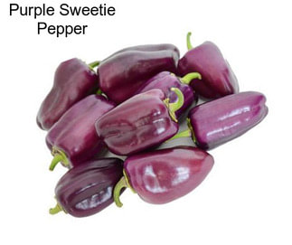 Purple Sweetie Pepper