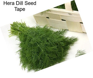 Hera Dill Seed Tape