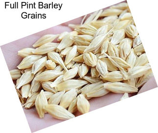 Full Pint Barley Grains