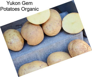 Yukon Gem Potatoes Organic