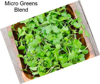 Micro Greens Blend