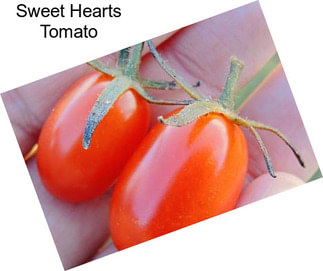 Sweet Hearts Tomato