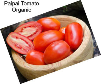 Paipai Tomato Organic