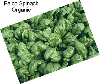 Palco Spinach Organic