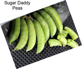 Sugar Daddy Peas