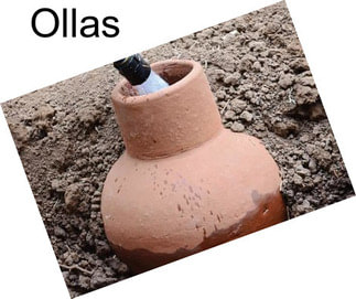 Ollas