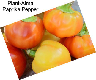 Plant-Alma Paprika Pepper