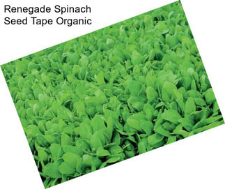 Renegade Spinach Seed Tape Organic