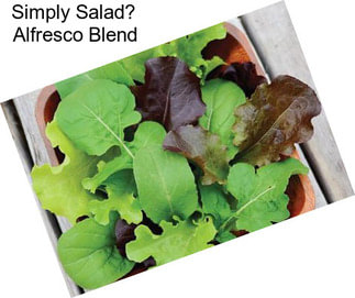 Simply Salad Alfresco Blend
