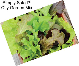 Simply Salad City Garden Mix