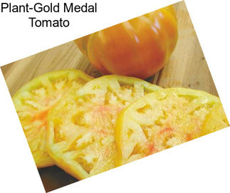 Plant-Gold Medal Tomato
