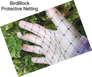 BirdBlock Protective Netting