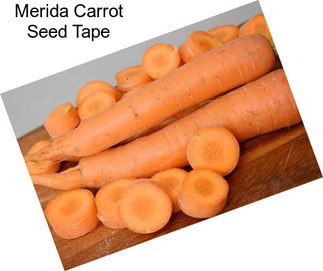 Merida Carrot Seed Tape