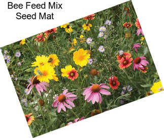 Bee Feed Mix Seed Mat