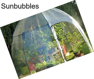 Sunbubbles