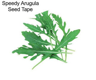 Speedy Arugula Seed Tape
