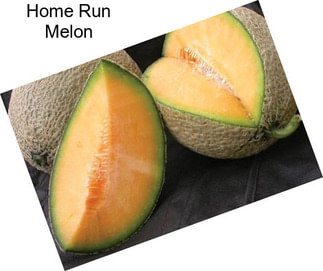 Home Run Melon