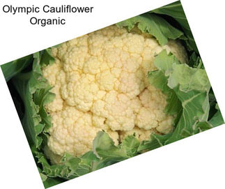 Olympic Cauliflower Organic