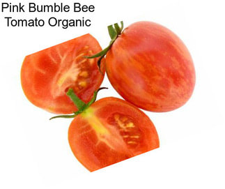 Pink Bumble Bee Tomato Organic