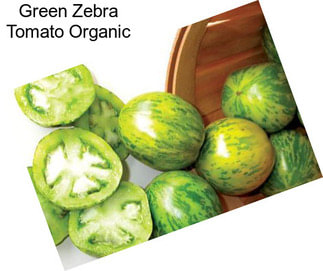 Green Zebra Tomato Organic