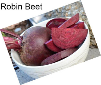 Robin Beet