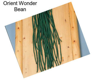 Orient Wonder Bean