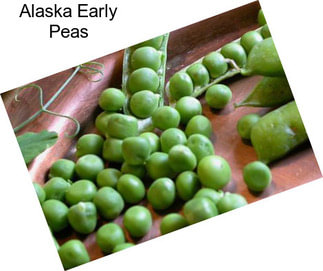 Alaska Early Peas