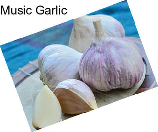 Music Garlic