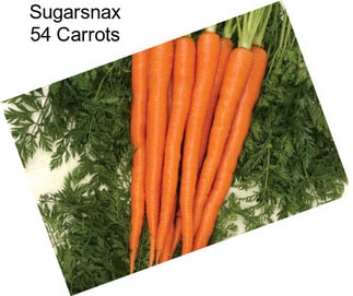 Sugarsnax 54 Carrots
