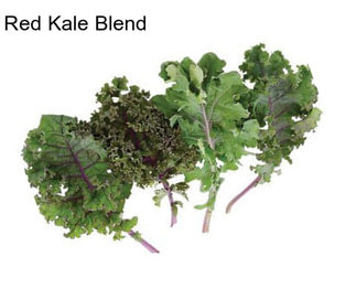 Red Kale Blend