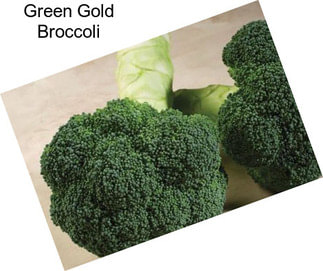 Green Gold Broccoli