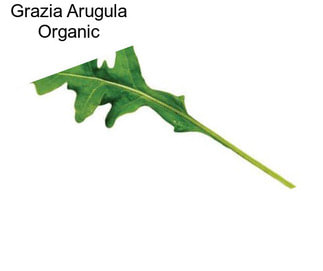 Grazia Arugula Organic