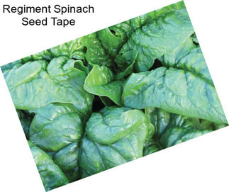 Regiment Spinach Seed Tape