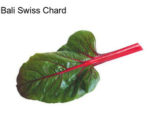 Bali Swiss Chard