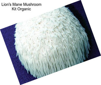 Lion\'s Mane Mushroom Kit Organic