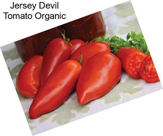 Jersey Devil Tomato Organic