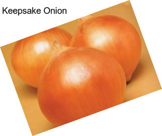 Keepsake Onion