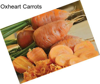 Oxheart Carrots