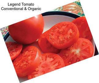 Legend Tomato Conventional & Organic