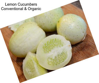 Lemon Cucumbers Conventional & Organic