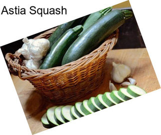 Astia Squash