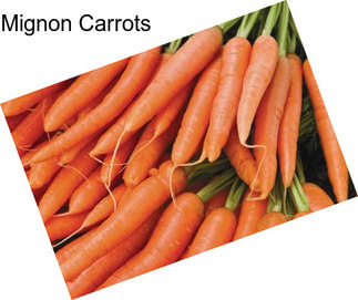 Mignon Carrots