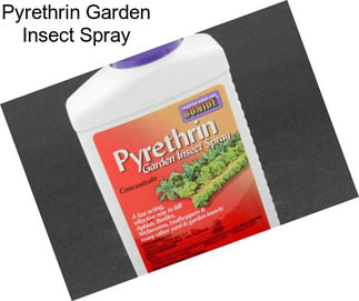 Pyrethrin Garden Insect Spray