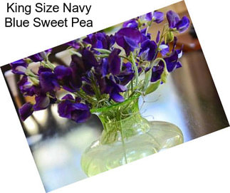 King Size Navy Blue Sweet Pea