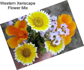 Western Xeriscape Flower Mix