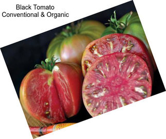 Black Tomato Conventional & Organic