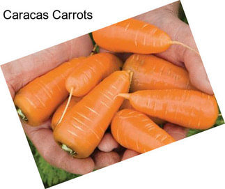 Caracas Carrots